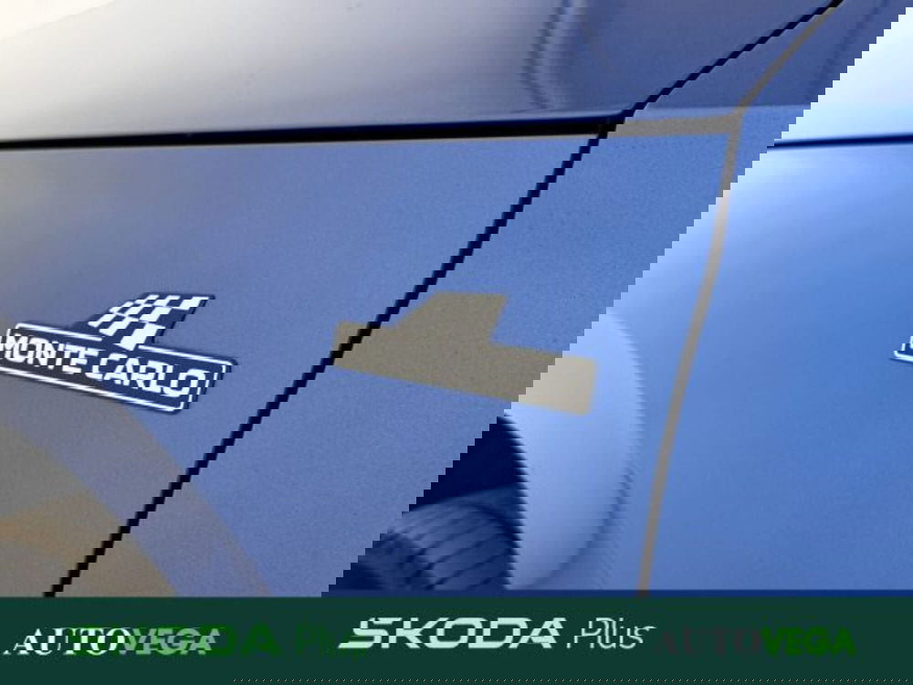 Skoda Kamiq usata a Vicenza (7)