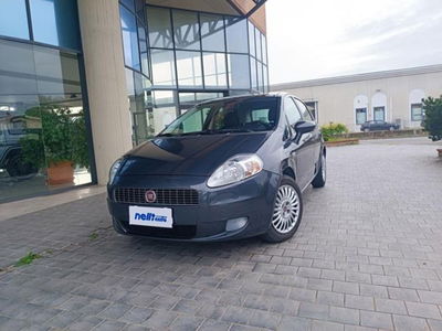 Fiat Grande Punto 1.2 5 porte Dynamic del 2008 usata a Castelfranco di Sotto