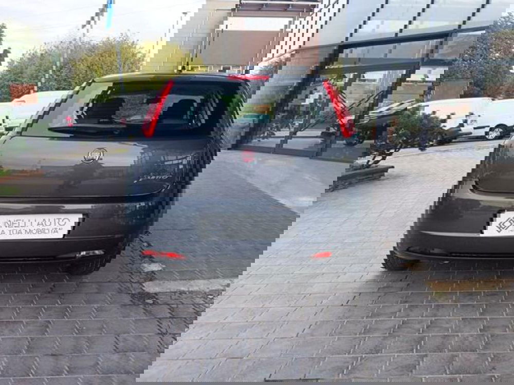 Fiat Grande Punto usata a Pisa (7)