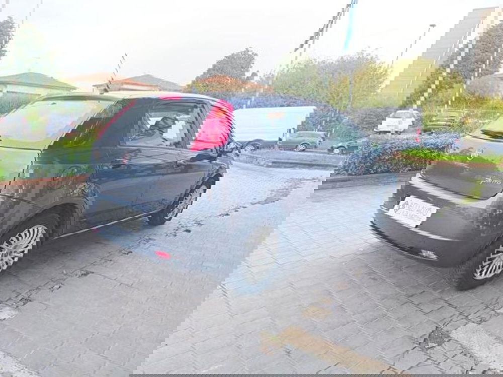 Fiat Grande Punto usata a Pisa (9)