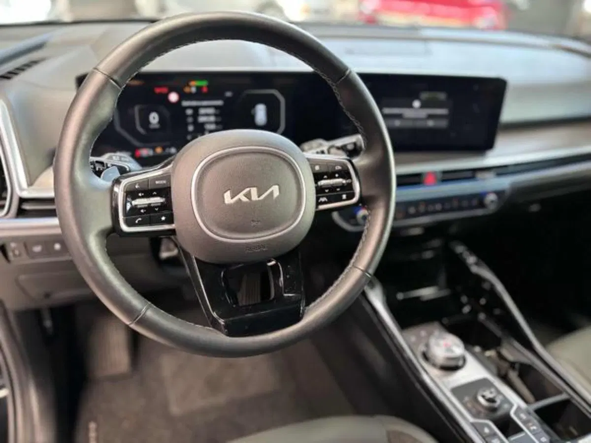 Kia Sorento usata a Pesaro-Urbino (10)