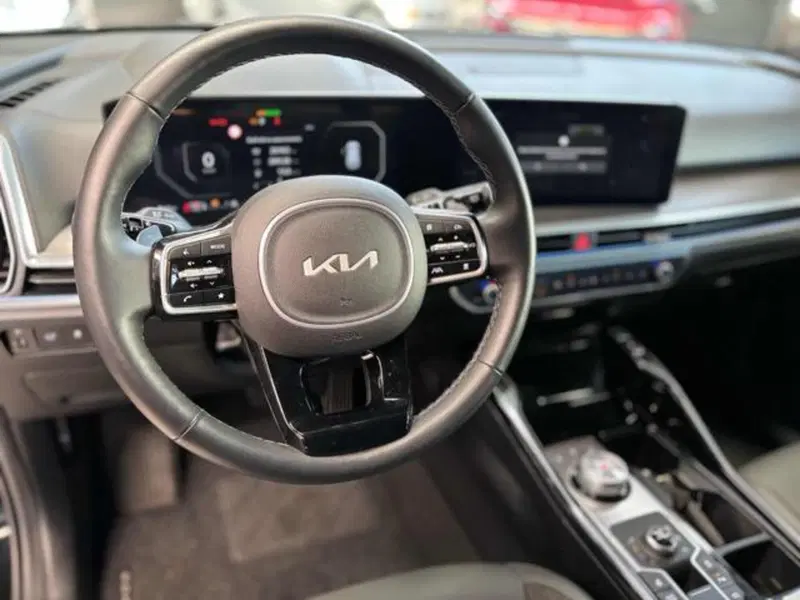 Kia Sorento usata a Pesaro-Urbino (10)