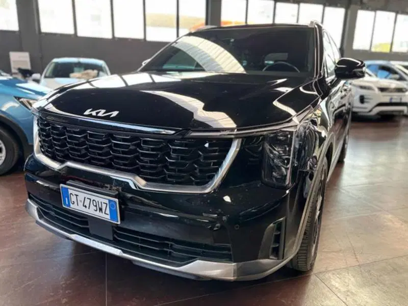 Kia Sorento usata a Pesaro-Urbino (2)