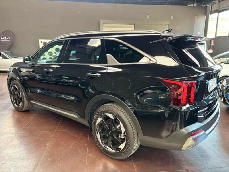 Kia Sorento usata a Pesaro-Urbino (4)