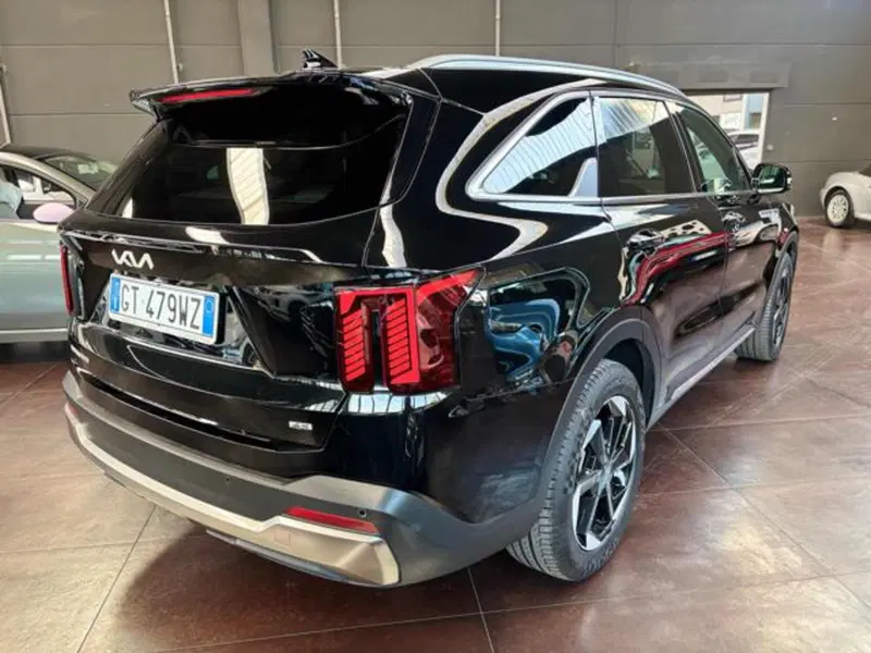 Kia Sorento usata a Pesaro-Urbino (5)