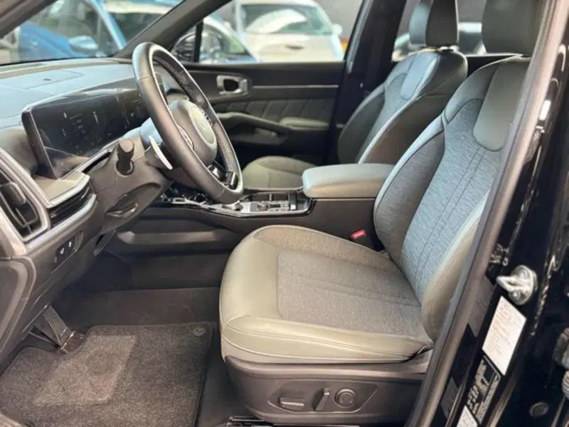 Kia Sorento usata a Pesaro-Urbino (9)