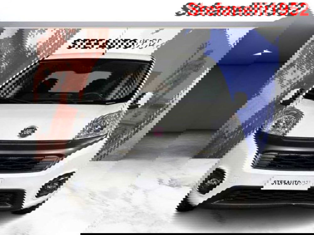 Fiat Fiorino usata a Bologna (2)