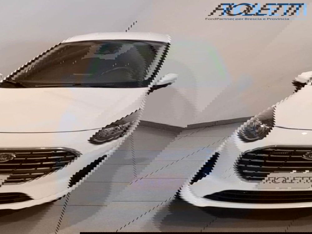 Ford Fiesta usata a Brescia (3)