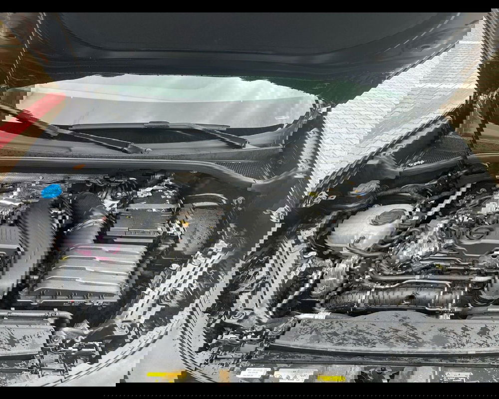 Cupra Terramar usata a Siena (14)