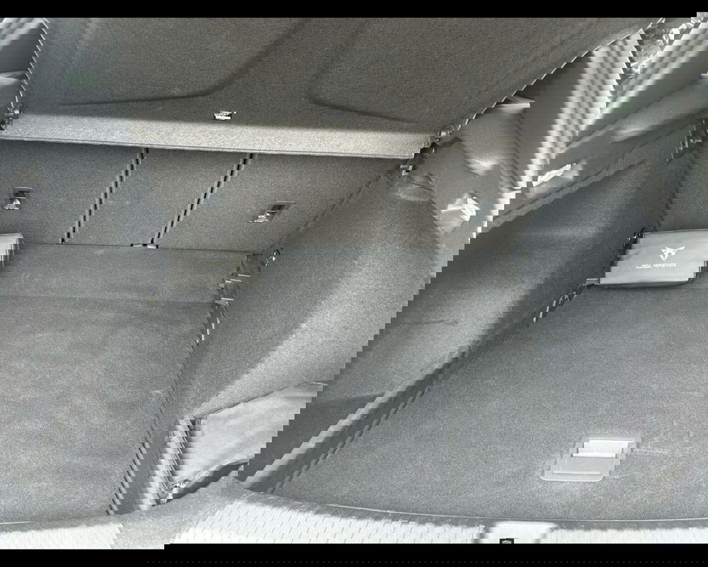 Cupra Terramar usata a Siena (6)