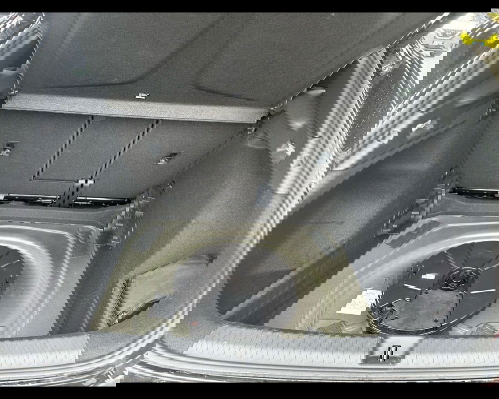 Cupra Terramar usata a Siena (7)