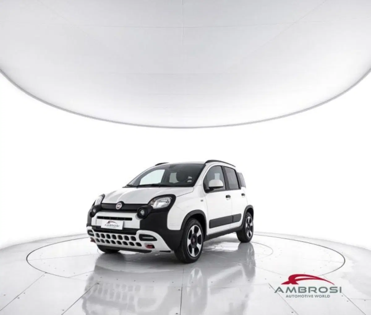 Fiat Panda Cross usata a Perugia