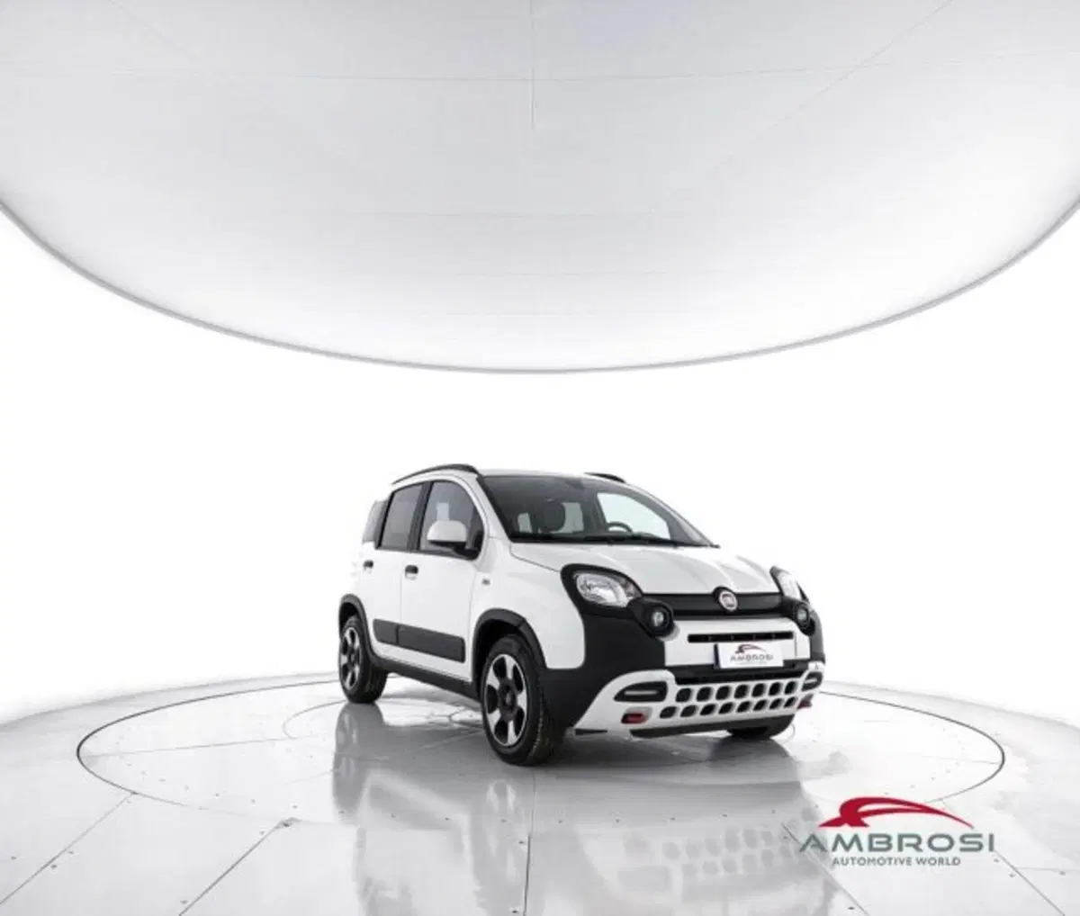 Fiat Panda Cross usata a Perugia (2)
