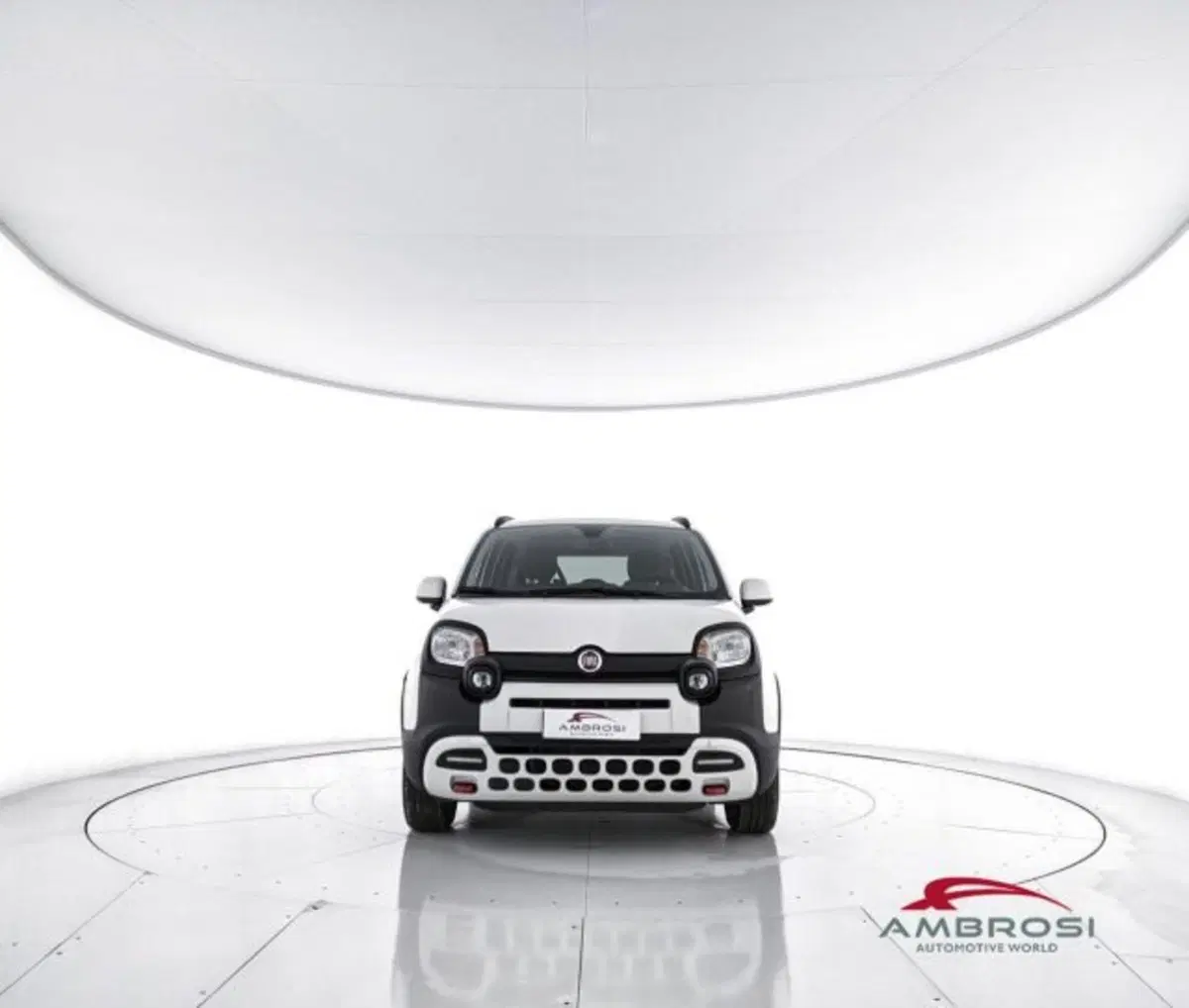 Fiat Panda Cross usata a Perugia (5)