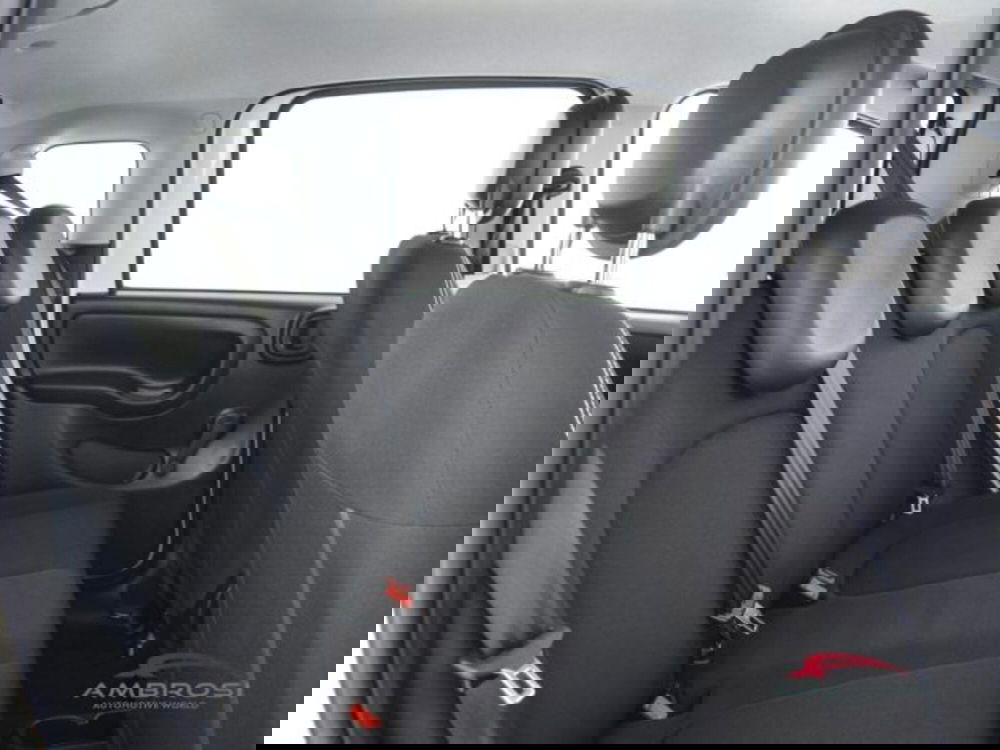 Fiat Panda Cross usata a Perugia (11)