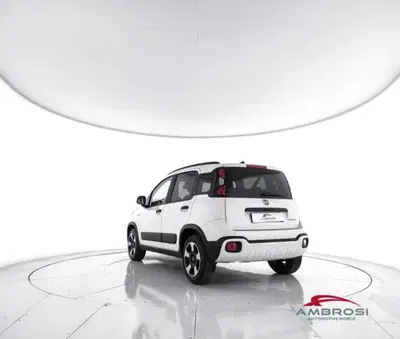 Fiat Panda Cross 1.0 firefly hybrid Cross s&amp;s 70cv 5p.ti del 2024 usata a Corciano