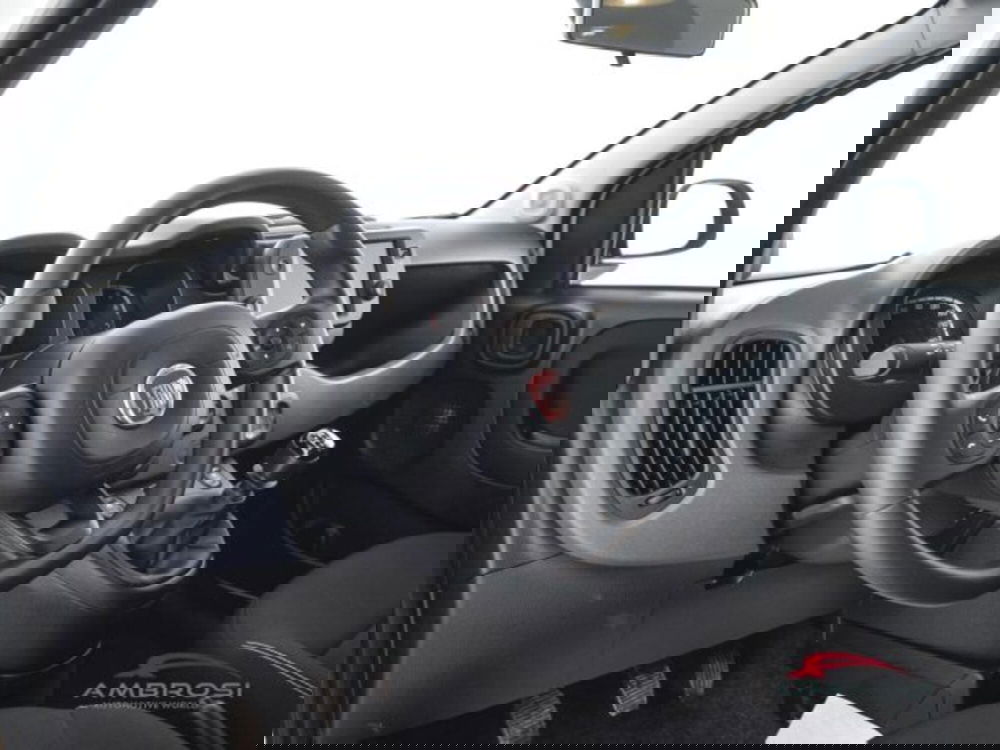 Fiat Panda Cross usata a Perugia (8)