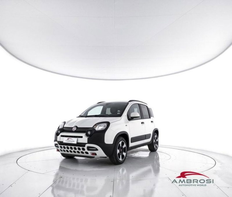 Fiat Panda Cross usata a Perugia