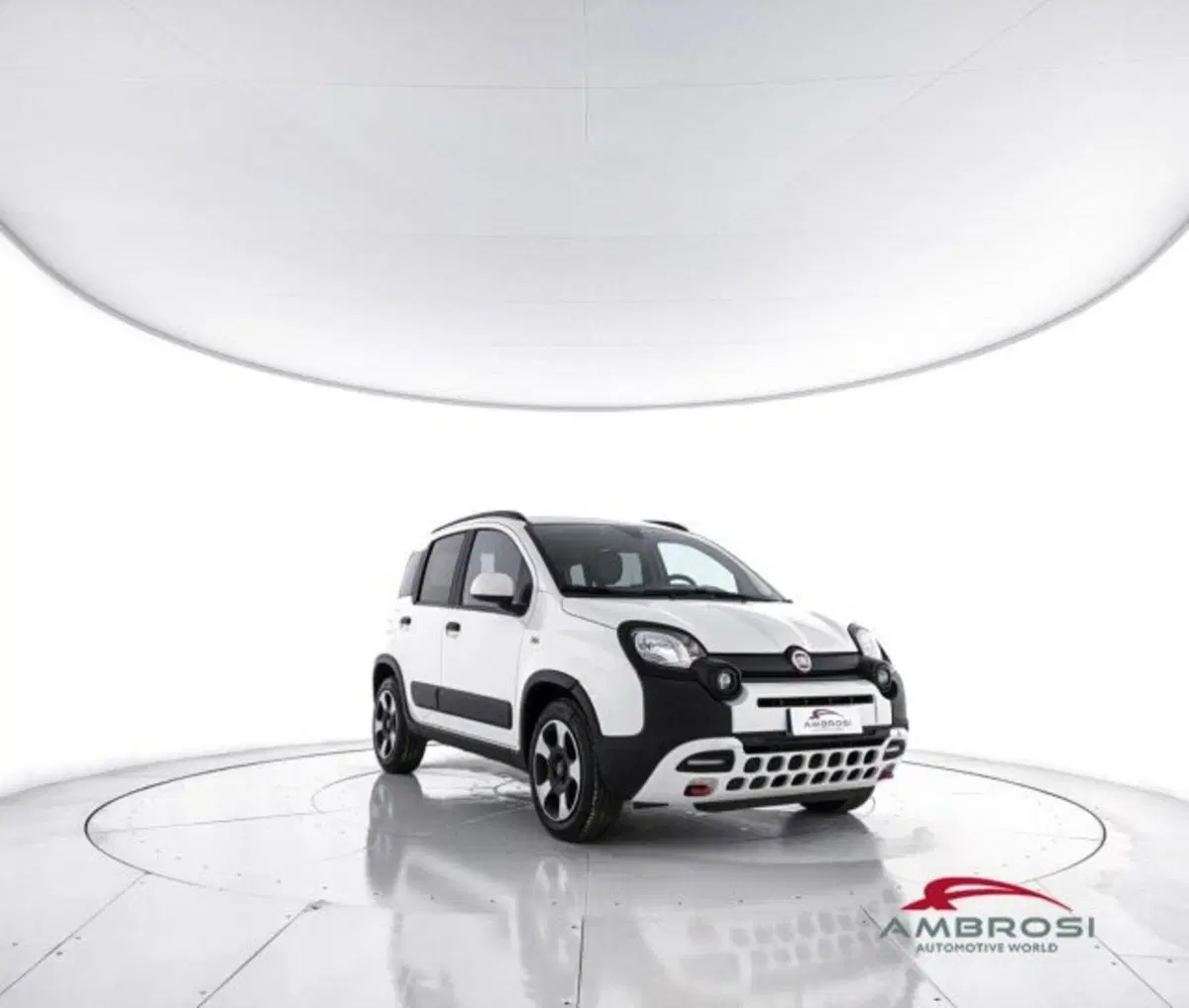 Fiat Panda Cross usata a Perugia (2)