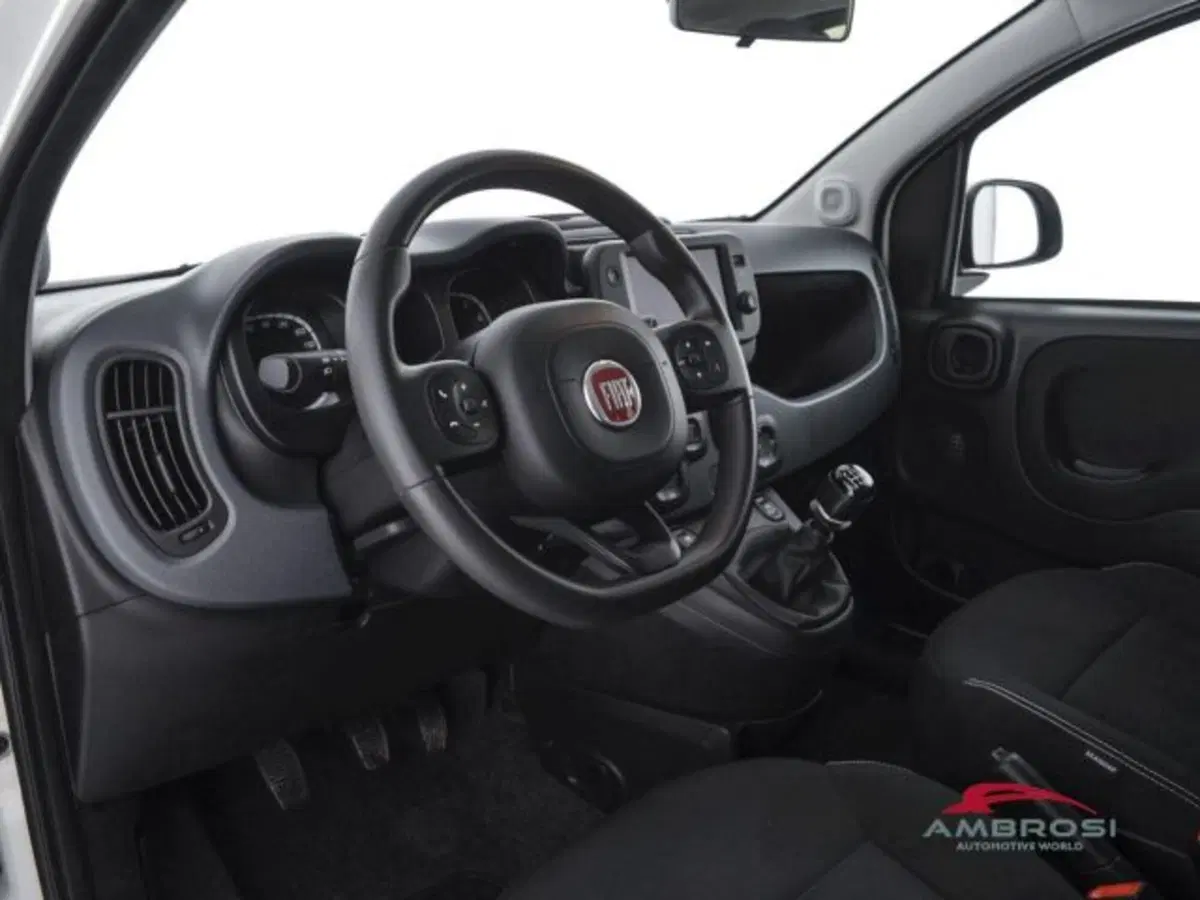 Fiat Panda Cross usata a Perugia (7)