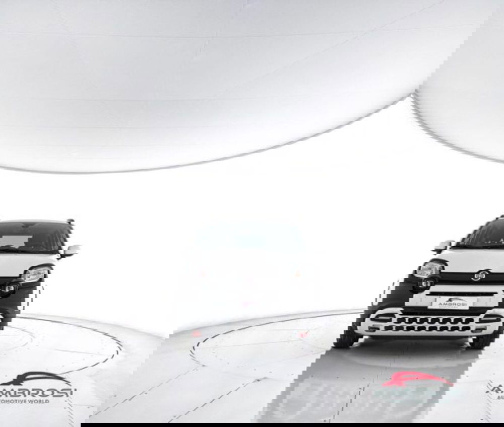 Fiat Panda Cross usata a Perugia (5)