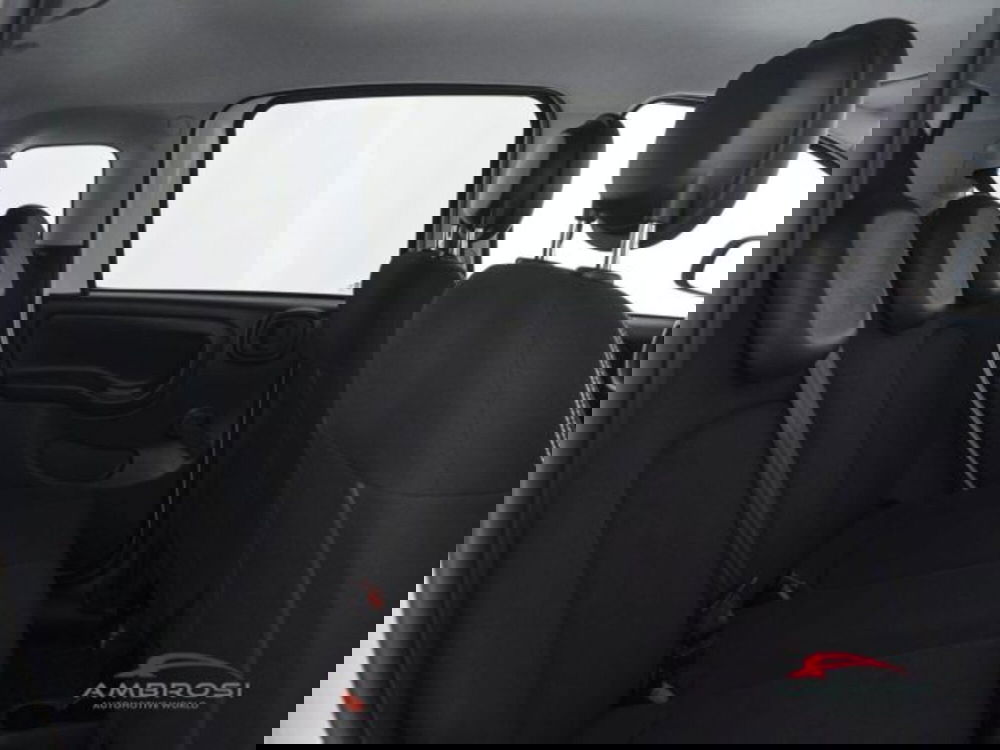 Fiat Panda Cross usata a Perugia (11)