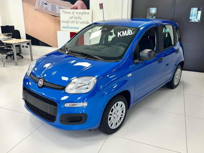 Fiat Panda 1.0 firefly hybrid s&amp;s 70cv nuova a Rho