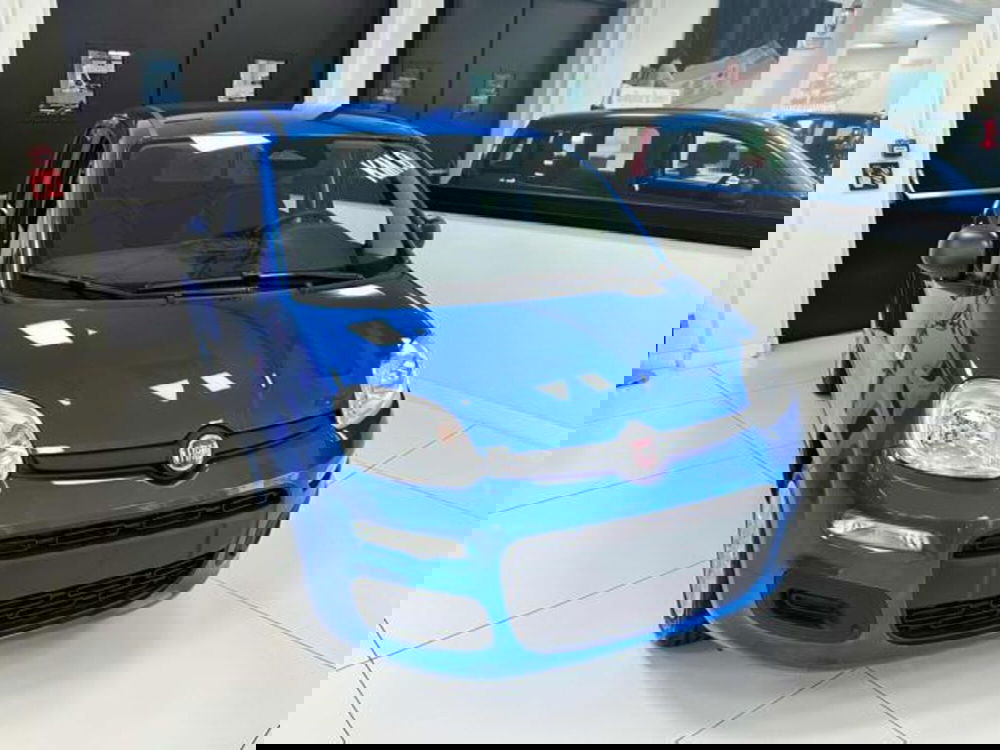 Fiat Panda nuova a Milano (3)