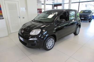 Fiat Panda 1.0 firefly hybrid s&amp;s 70cv nuova a Rho