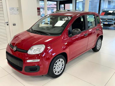 Fiat Panda 1.0 firefly hybrid s&amp;s 70cv nuova a Rho