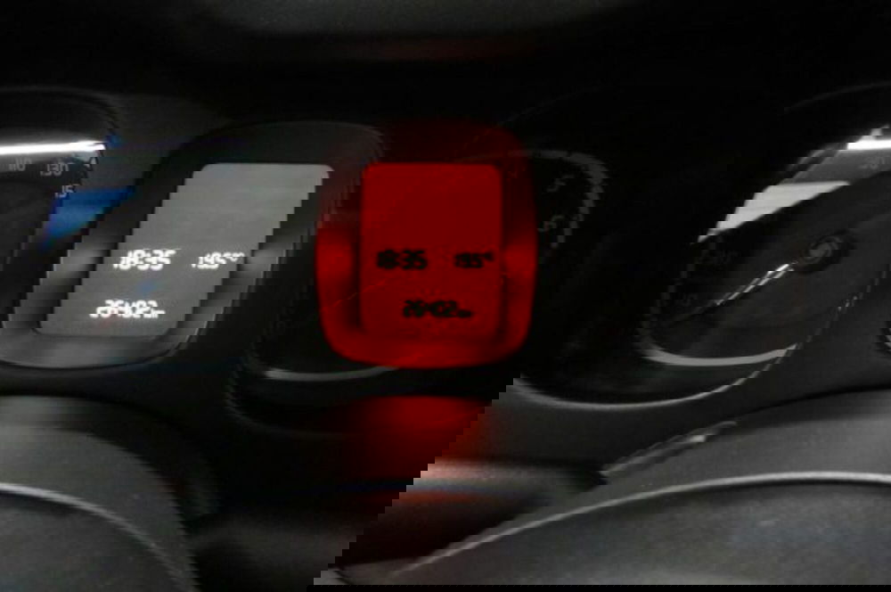 Fiat Panda Cross usata a Milano (12)