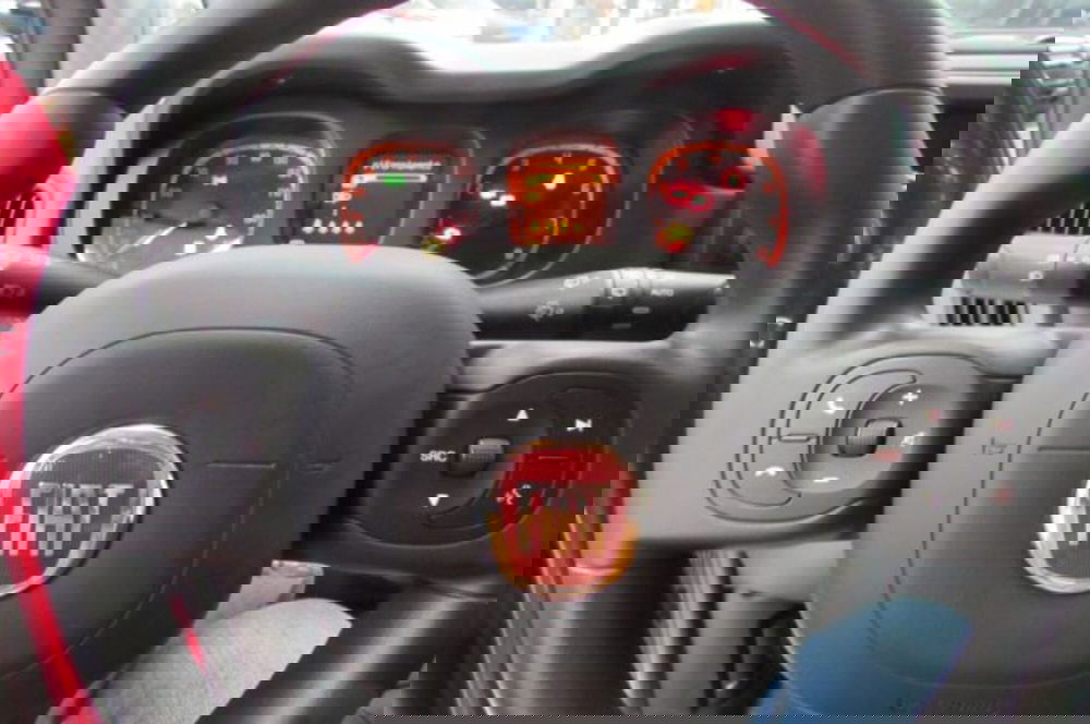 Fiat Panda Cross usata a Milano (10)