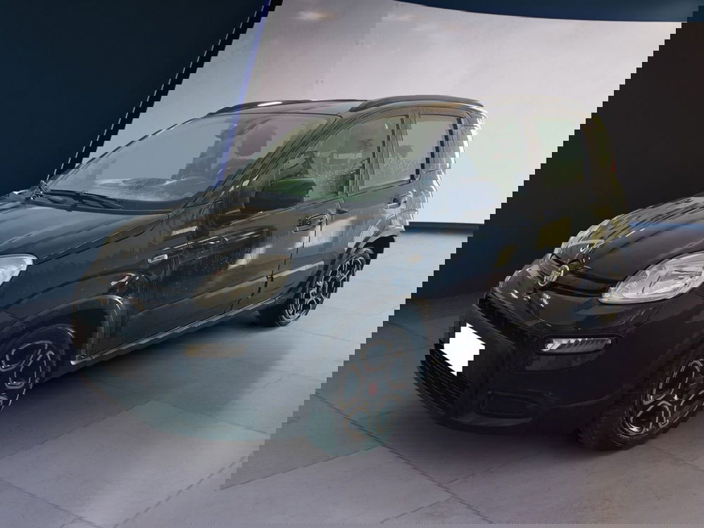 Fiat Panda usata a Torino (2)