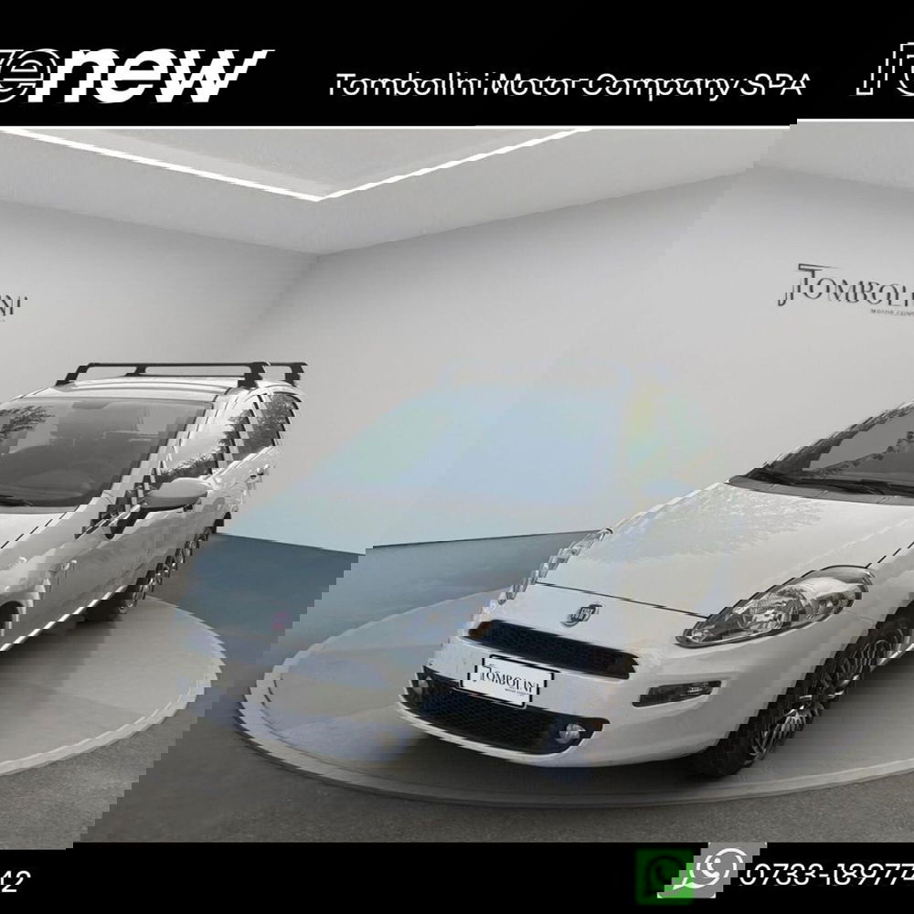 Fiat Punto usata a Perugia