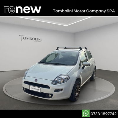 Fiat Punto 1.4 8V 5 porte Easypower Street del 2017 usata a Perugia