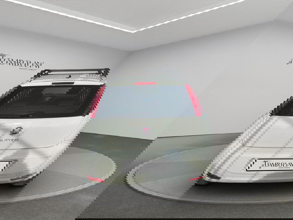 Fiat Punto usata a Perugia (6)