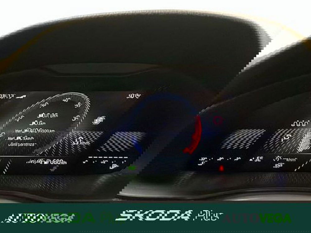 Skoda Kamiq usata a Vicenza (13)