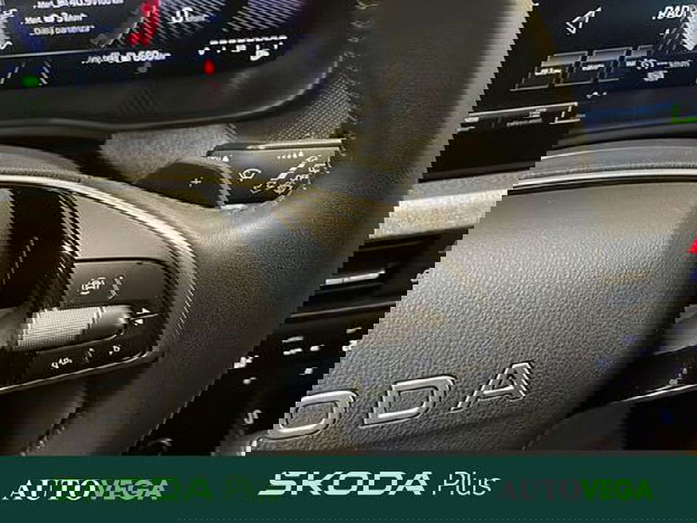 Skoda Kamiq usata a Vicenza (14)