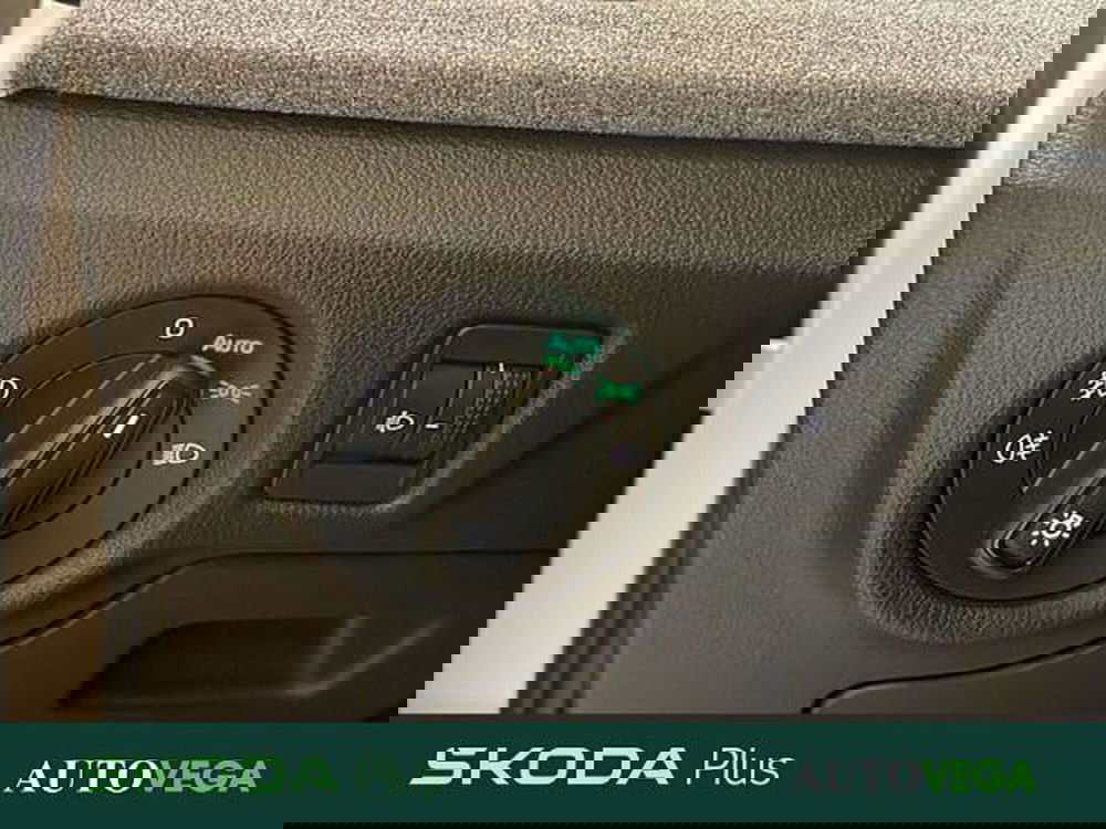 Skoda Kamiq usata a Vicenza (15)