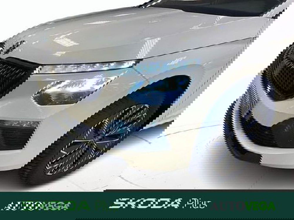 Skoda Kamiq usata a Vicenza (19)