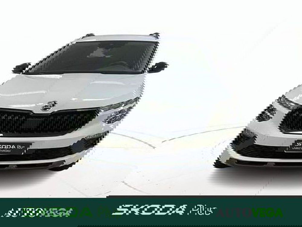 Skoda Kamiq usata a Vicenza (2)