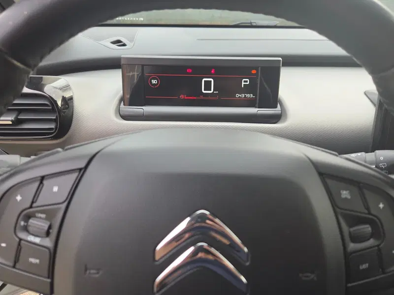 Citroen C4 Cactus usata a Torino (10)