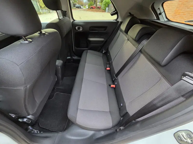 Citroen C4 Cactus usata a Torino (11)