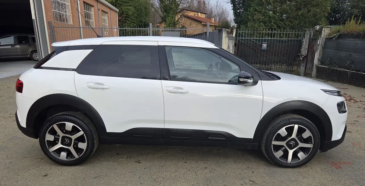 Citroen C4 Cactus usata a Torino (12)