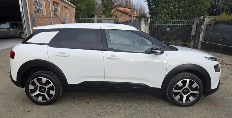 Citroen C4 Cactus usata a Torino (12)