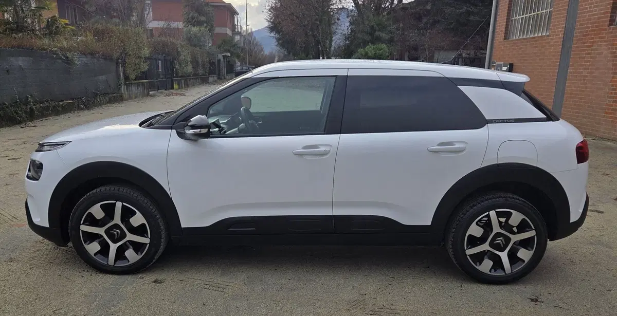 Citroen C4 Cactus usata a Torino (13)