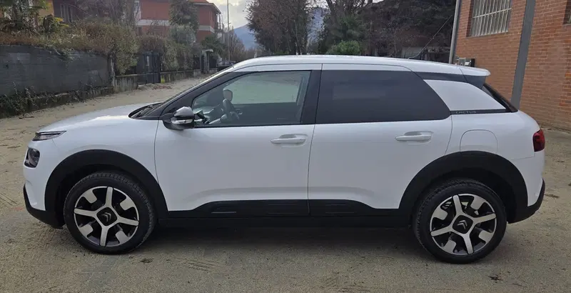 Citroen C4 Cactus usata a Torino (13)