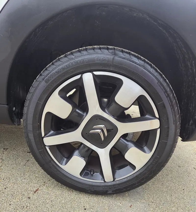 Citroen C4 Cactus usata a Torino (14)