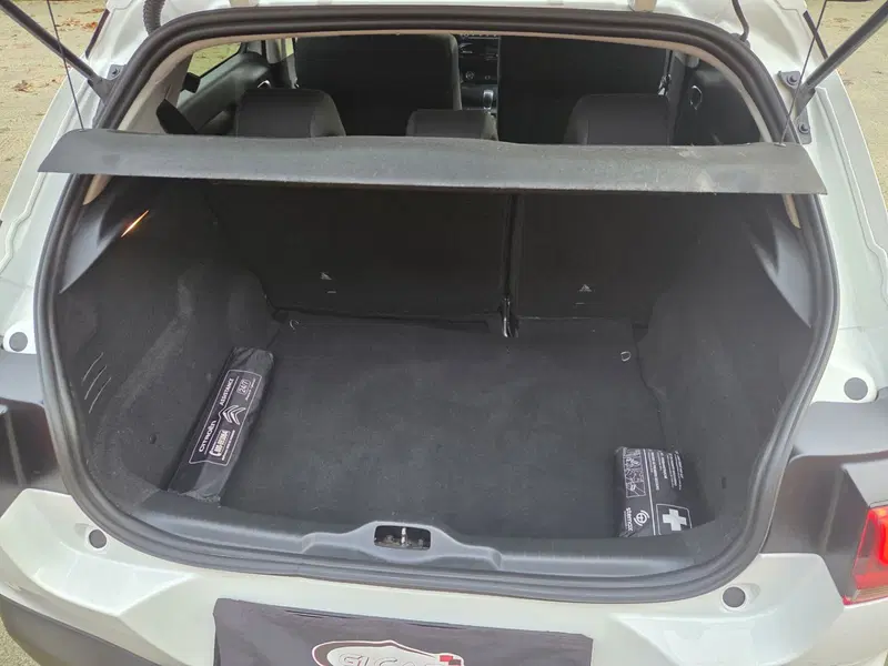 Citroen C4 Cactus usata a Torino (16)