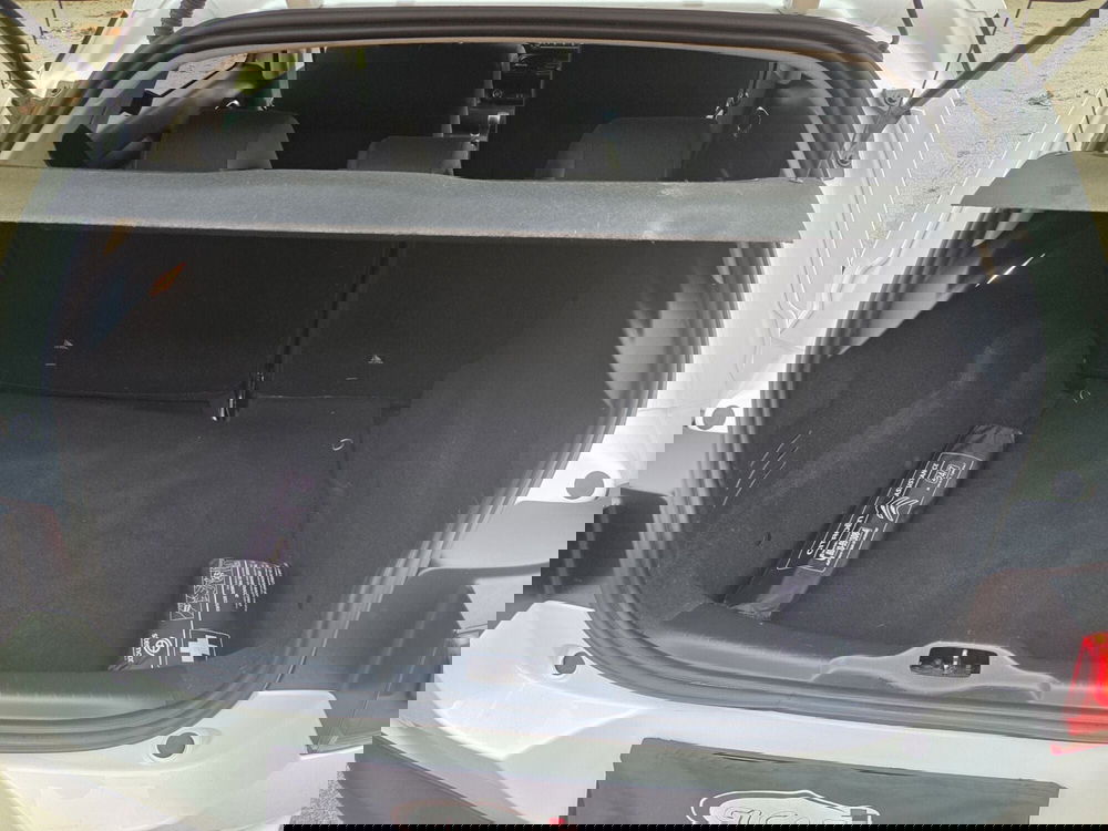 Citroen C4 Cactus usata a Torino (16)